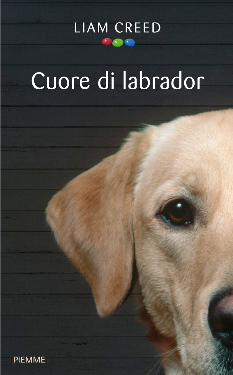 Cuore di labrador