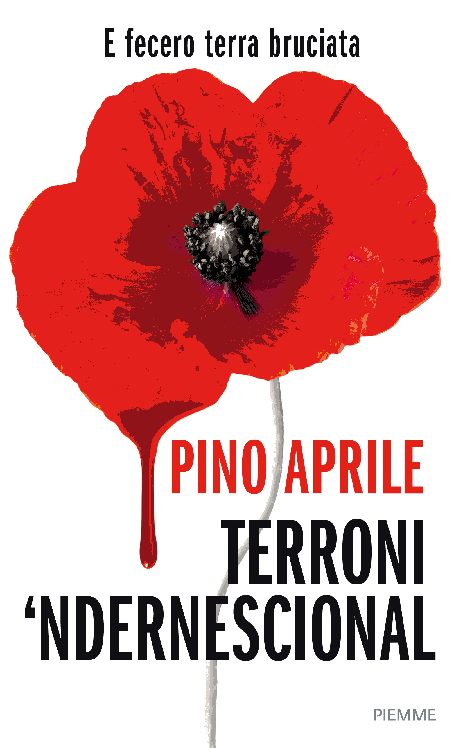Terroni ‘ndernescional