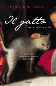 Il gatto