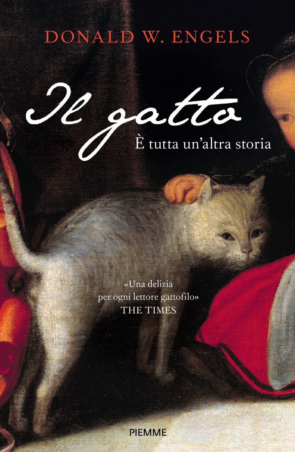 Il gatto