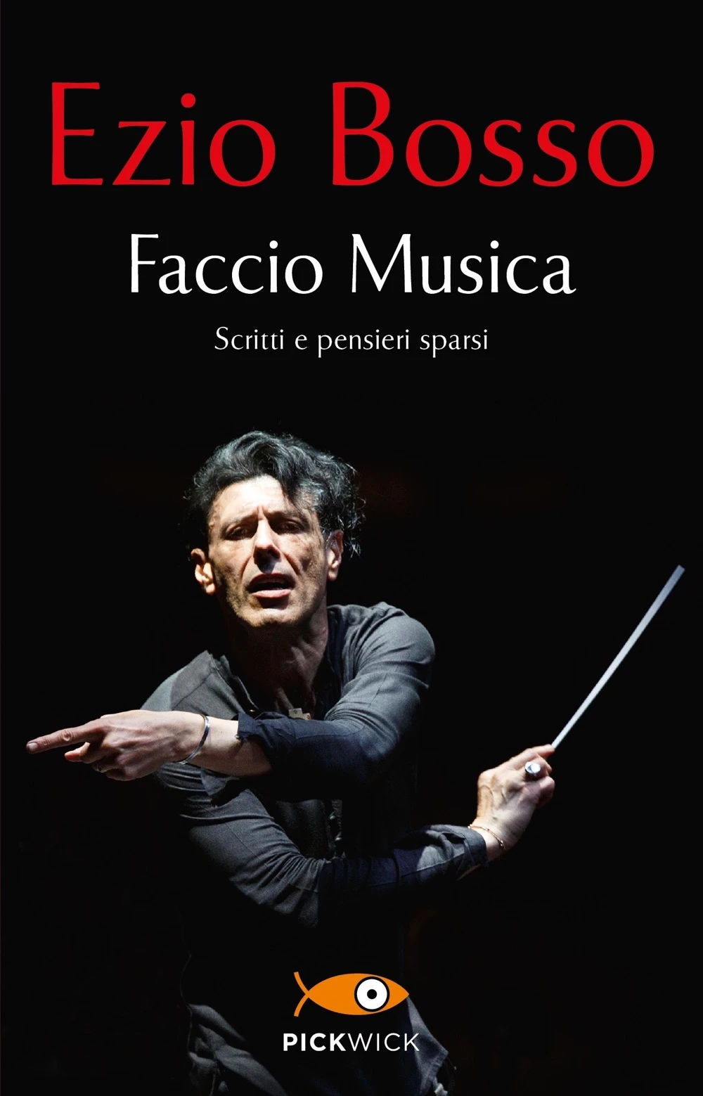 Faccio musica