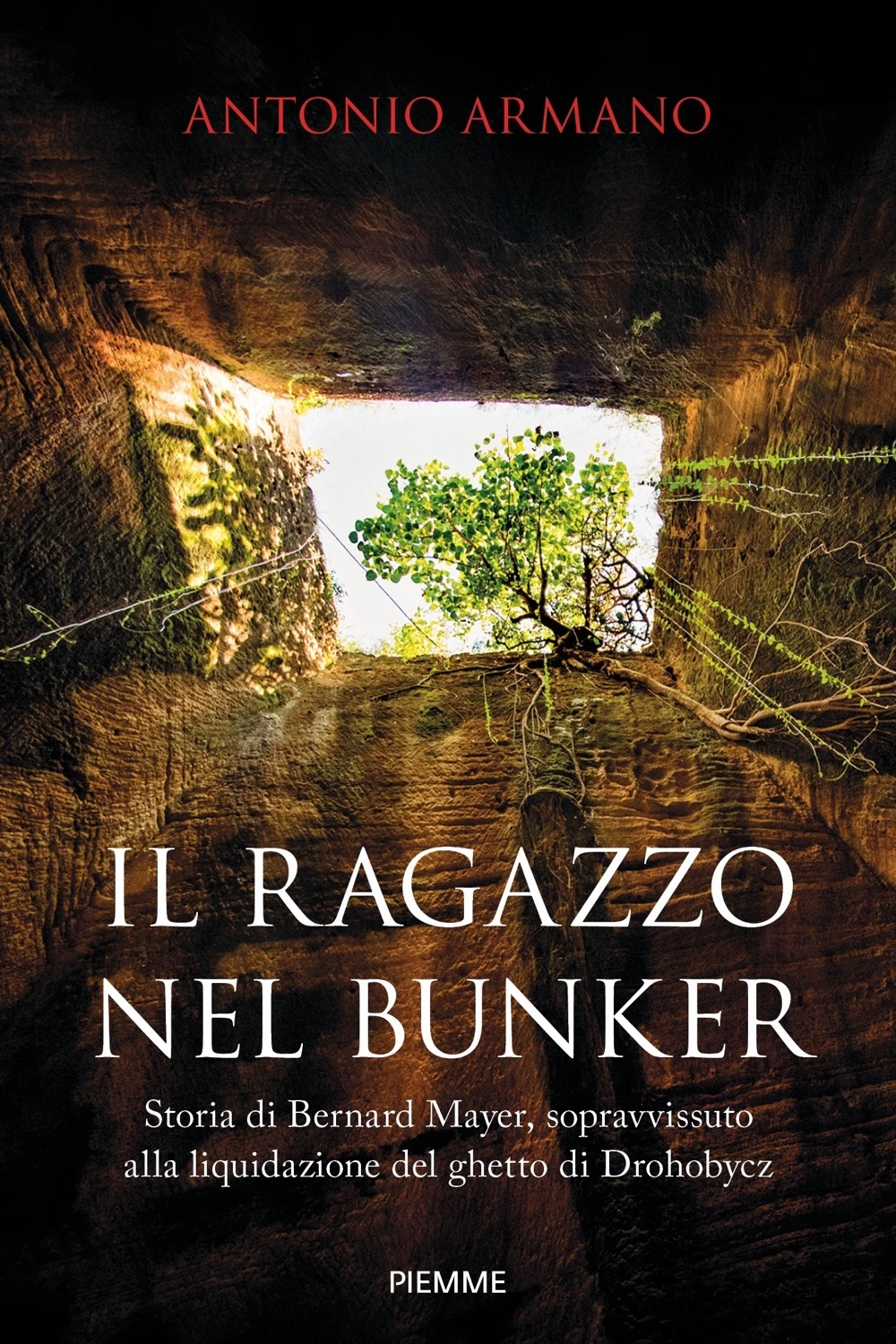 Il ragazzo nel bunker